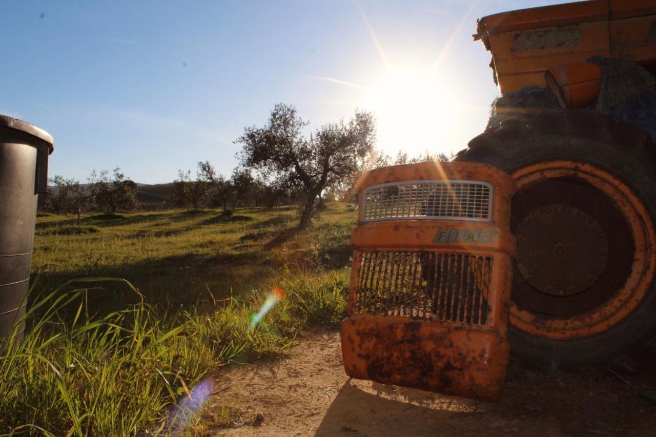 Agricampeggio La Piaggia - *